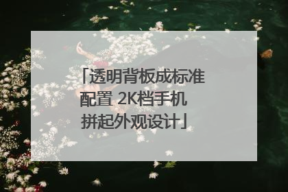 透明背板成标准配置 2K档手机拼起外观设计
