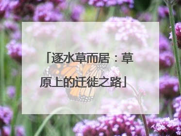 逐水草而居：草原上的迁徙之路