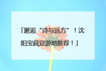 邂逅“诗与远方”！沈阳宝藏夏游地推荐！