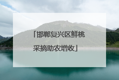 邯郸复兴区鲜桃采摘助农增收