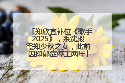 郑欣宜补位《歌手2025》，系沈殿霞郑少秋之女，此前因抑郁症停工两年