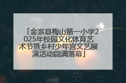 金寨县梅山第一小学2025年校园文化体育艺术节暨乡村少年宫文艺展演活动圆满落幕