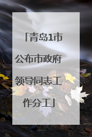 青岛1市公布市政府领导同志工作分工
