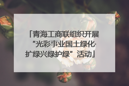 青海工商联组织开展“光彩事业国土绿化·扩绿兴绿护绿”活动