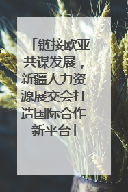 链接欧亚共谋发展，新疆人力资源展交会打造国际合作新平台