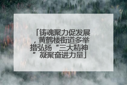 铸魂聚力促发展，黄鹤楼街道多举措弘扬“三大精神”凝聚奋进力量