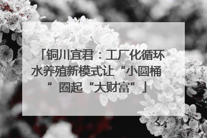 铜川宜君：工厂化循环水养殖新模式让“小圆桶”圈起“大财富”