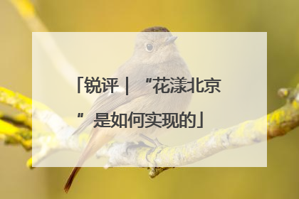锐评｜“花漾北京”是如何实现的