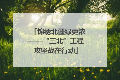 锦绣北疆绿更浓——“三北”工程攻坚战在行动