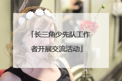 长三角少先队工作者开展交流活动
