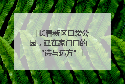 长春新区口袋公园，建在家门口的“诗与远方”