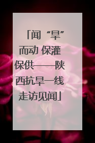 闻“旱”而动 保灌保供——陕西抗旱一线走访见闻