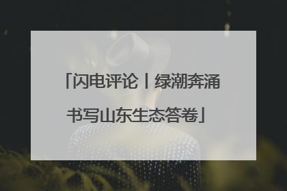 闪电评论丨绿潮奔涌 书写山东生态答卷
