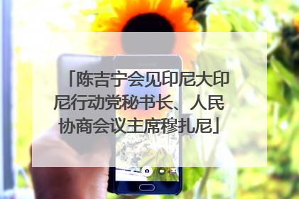 陈吉宁会见印尼大印尼行动党秘书长、人民协商会议主席穆扎尼