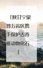 陕甘宁蒙晋五省区携手保护古脊椎动物化石
