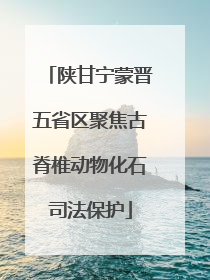 陕甘宁蒙晋五省区聚焦古脊椎动物化石司法保护