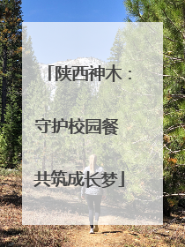 陕西神木：守护校园餐 共筑成长梦