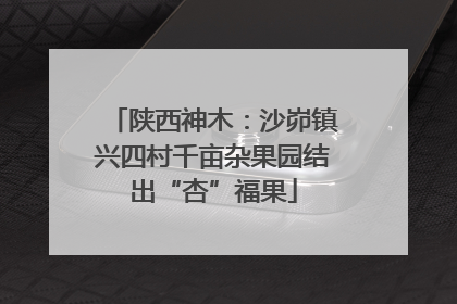 陕西神木：沙峁镇兴四村千亩杂果园结出“杏”福果