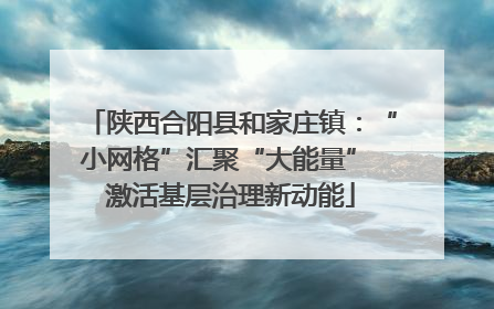 陕西合阳县和家庄镇：“小网格”汇聚“大能量” 激活基层治理新动能