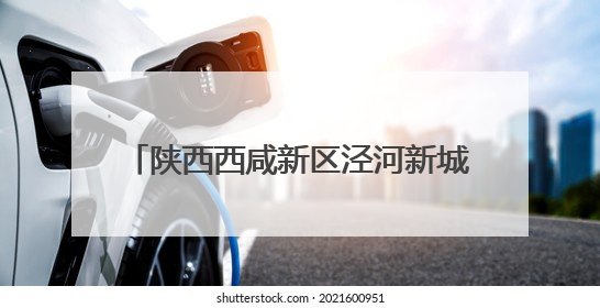 陕西西咸新区泾河新城：300万美元签约！茯茶“金花”绽放中亚