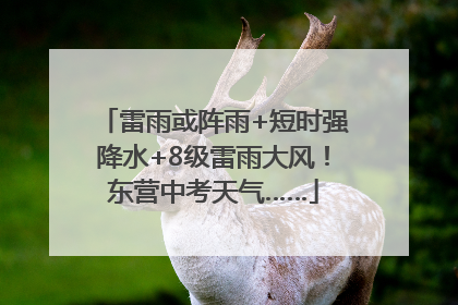 雷雨或阵雨+短时强降水+8级雷雨大风！东营中考天气……