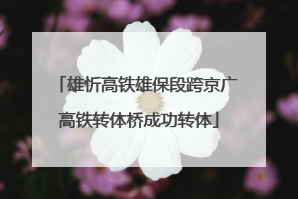 雄忻高铁雄保段跨京广高铁转体桥成功转体