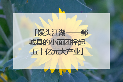 馒头江湖——鄄城县的小面团撑起五十亿元大产业
