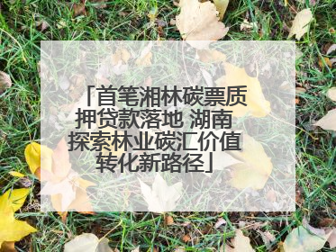 首笔湘林碳票质押贷款落地 湖南探索林业碳汇价值转化新路径