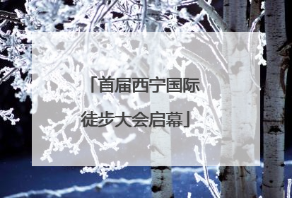 首届西宁国际徒步大会启幕