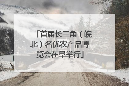 首届长三角（皖北）名优农产品博览会在阜举行