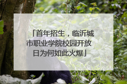 首年招生，临沂城市职业学院校园开放日为何如此火爆