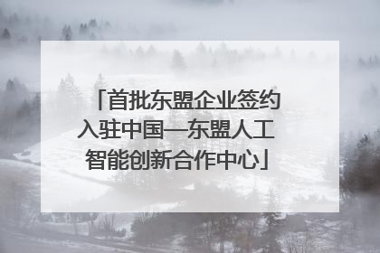 首批东盟企业签约入驻中国—东盟人工智能创新合作中心