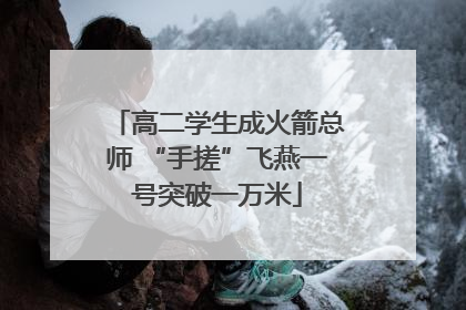 高二学生成火箭总师 “手搓”飞燕一号突破一万米
