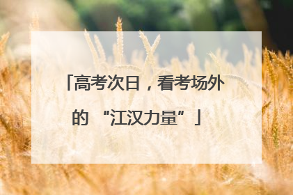 高考次日，看考场外的 “江汉力量”