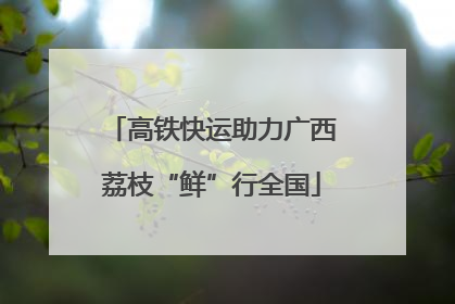 高铁快运助力广西荔枝“鲜”行全国