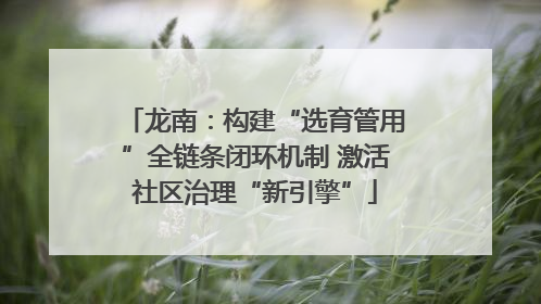 龙南：构建“选育管用”全链条闭环机制 激活社区治理“新引擎”