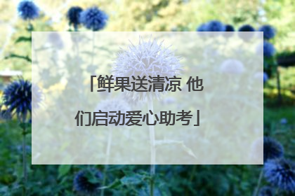 鲜果送清凉 他们启动爱心助考