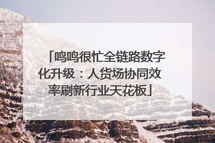 鸣鸣很忙全链路数字化升级：人货场协同效率刷新行业天花板