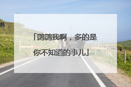 鹮鹮我啊，多的是你不知道的事儿