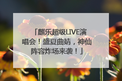 麒乐超级LIVE演唱会！盛夏曲靖，神仙阵容炸场来袭！