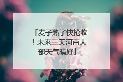 麦子熟了快抢收！未来三天河南大部天气晴好
