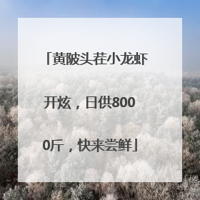 黄陂头茬小龙虾开炫，日供8000斤，快来尝鲜