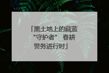 黑土地上的藏蓝“守护者” 春耕警务进行时