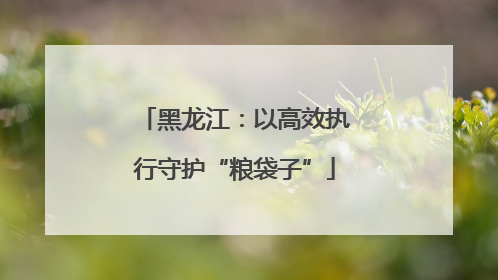 黑龙江：以高效执行守护“粮袋子”