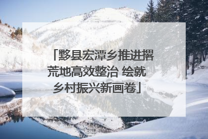黟县宏潭乡推进撂荒地高效整治 绘就乡村振兴新画卷