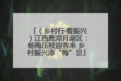 （乡村行·看振兴）江西鹰潭月湖区：杨梅压枝迎客来 乡村振兴添“梅”景