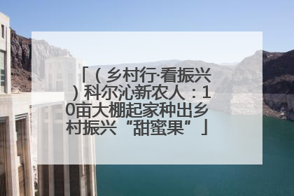 （乡村行·看振兴）科尔沁新农人：10亩大棚起家种出乡村振兴“甜蜜果”