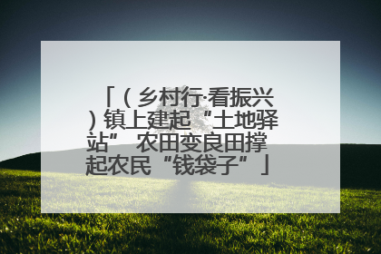 （乡村行·看振兴）镇上建起“土地驿站” 农田变良田撑起农民“钱袋子”
