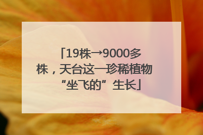 19株→9000多株，天台这一珍稀植物“坐飞的”生长