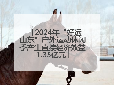 2024年“好运山东”户外运动休闲季产生直接经济效益1.35亿元